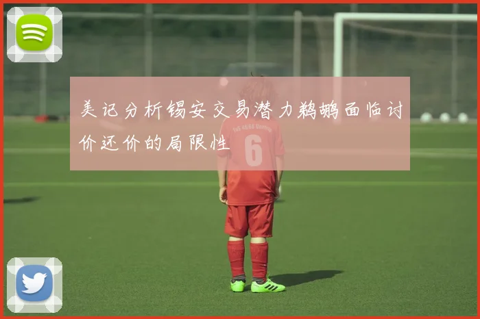 美记分析锡安交易潜力鹈鹕面临讨价还价的局限性