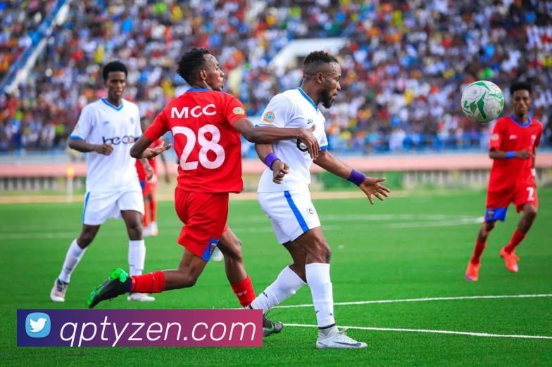 球派体育平台生态图